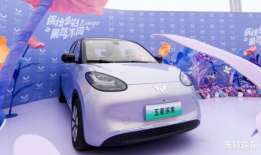 久热这里只有精品国产,久热精品，诠释国产魅力