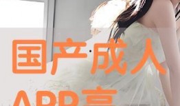 国产高清色情,揭秘背后产业链与监管挑战